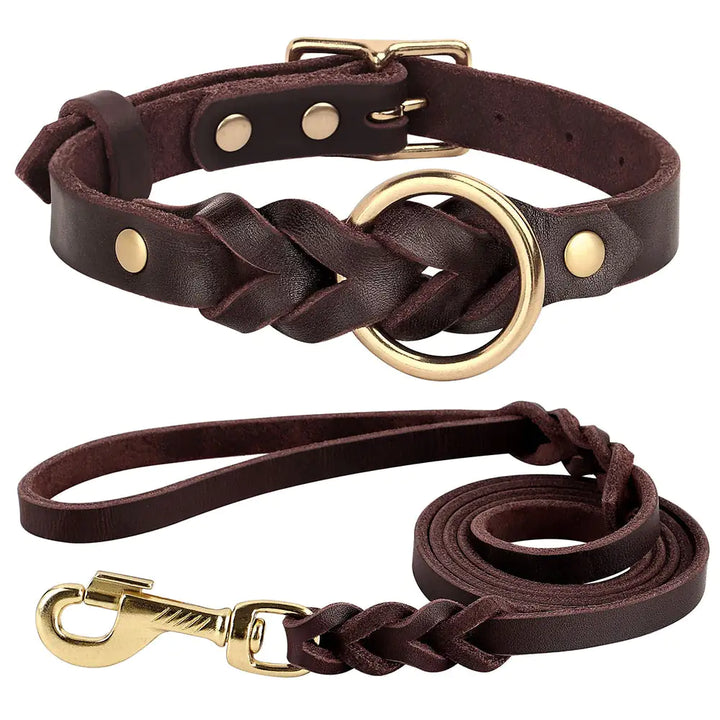 Dog Collar and Leash Combo