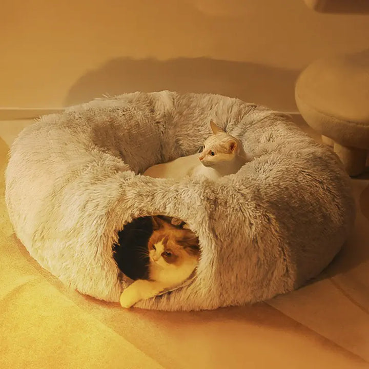 Cozy Homes for Feline Friends: Cat Beds