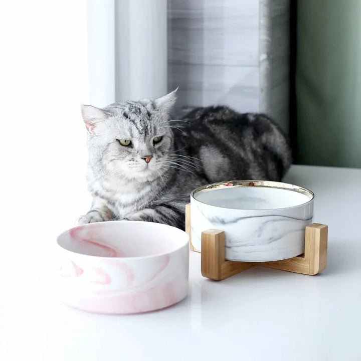 Marble-Pattern Ceramic Double Pet Bowl