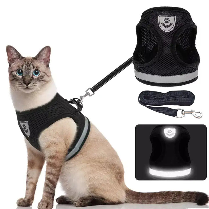 CozyCat Pet Harness & Leash Set