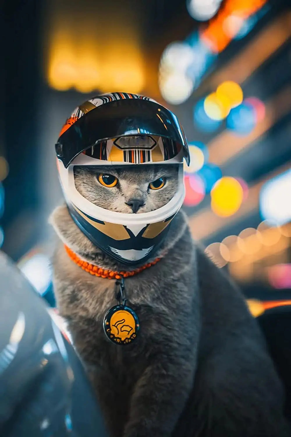 Full-Face Motorcycle Helmet for Pets