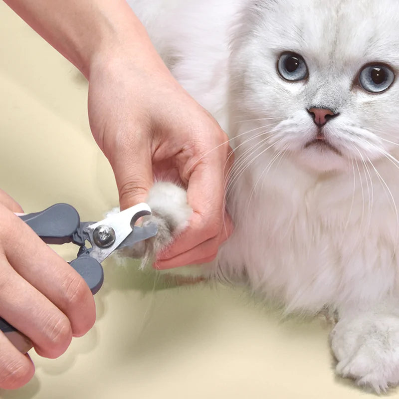 Pet Grooming Clipper