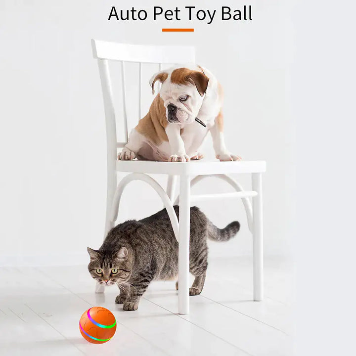 Smart Pet Interactive Ball Toy