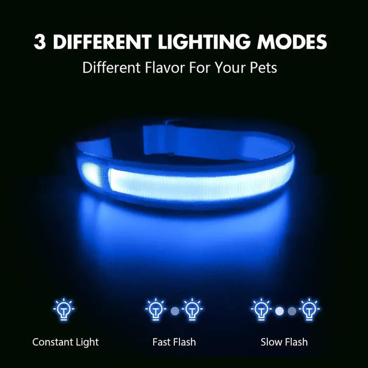 LED Glowing Night Safety Collar