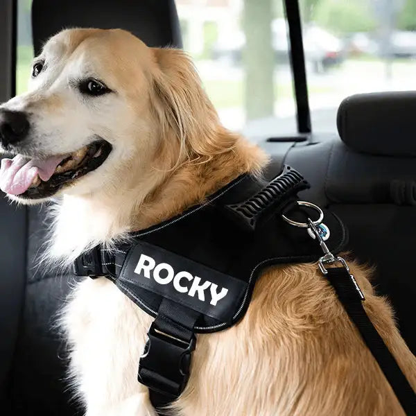 Adjustable Dog Seat Belt for Safety