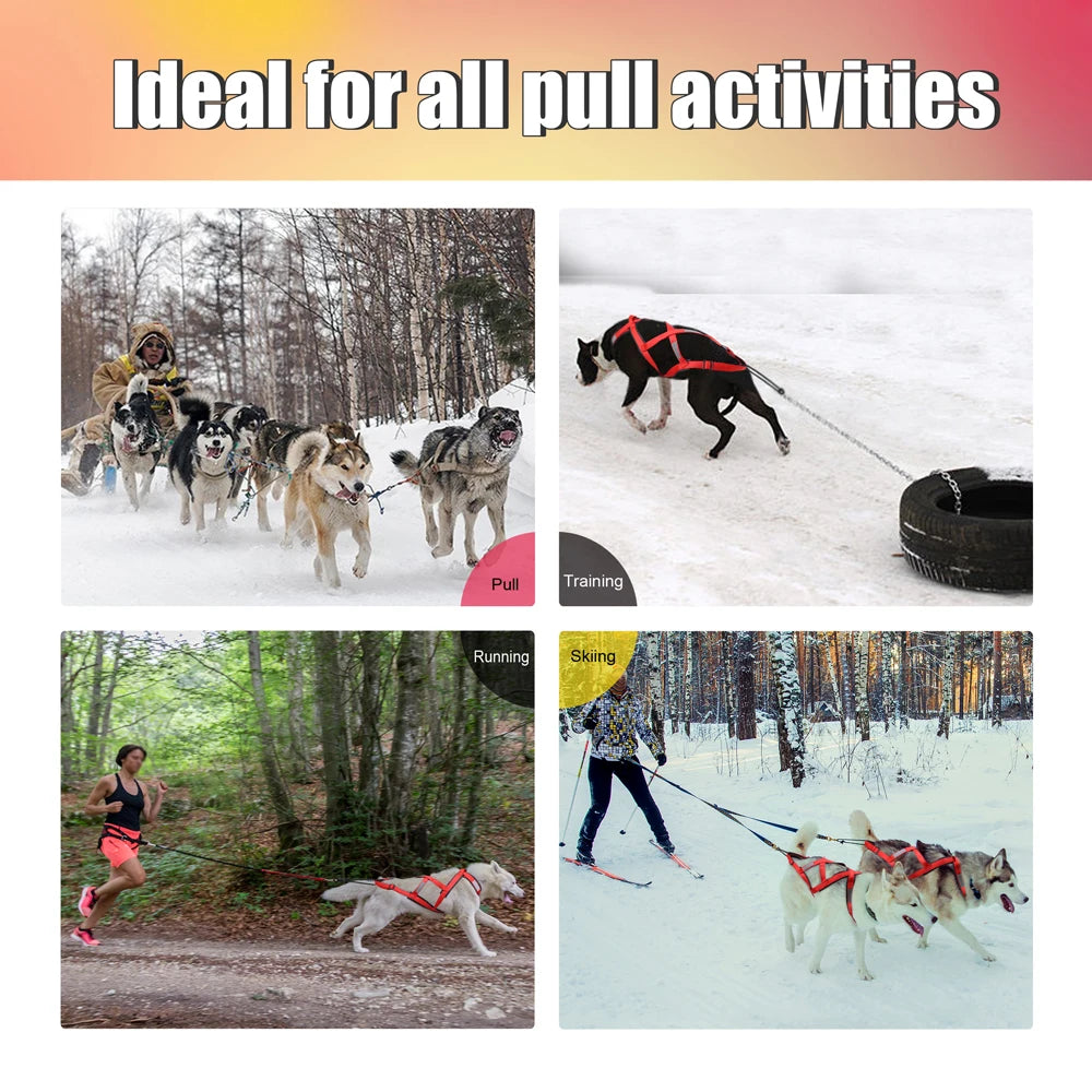 Waterproof Skijoring Gear for Large Dogs