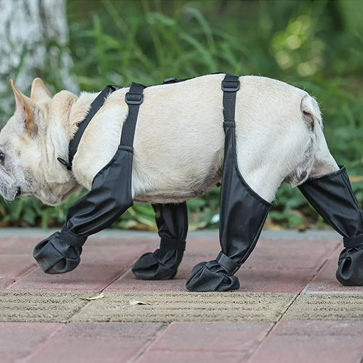 Non-Skid Canine Footwear