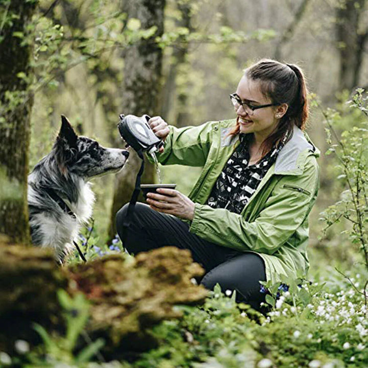 Extendable Dog Leash