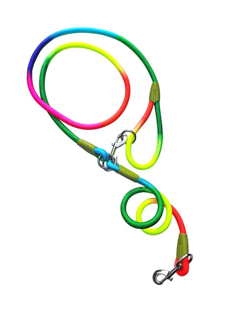 Nylon Leashes with Reflective Strips for Pet Dogs