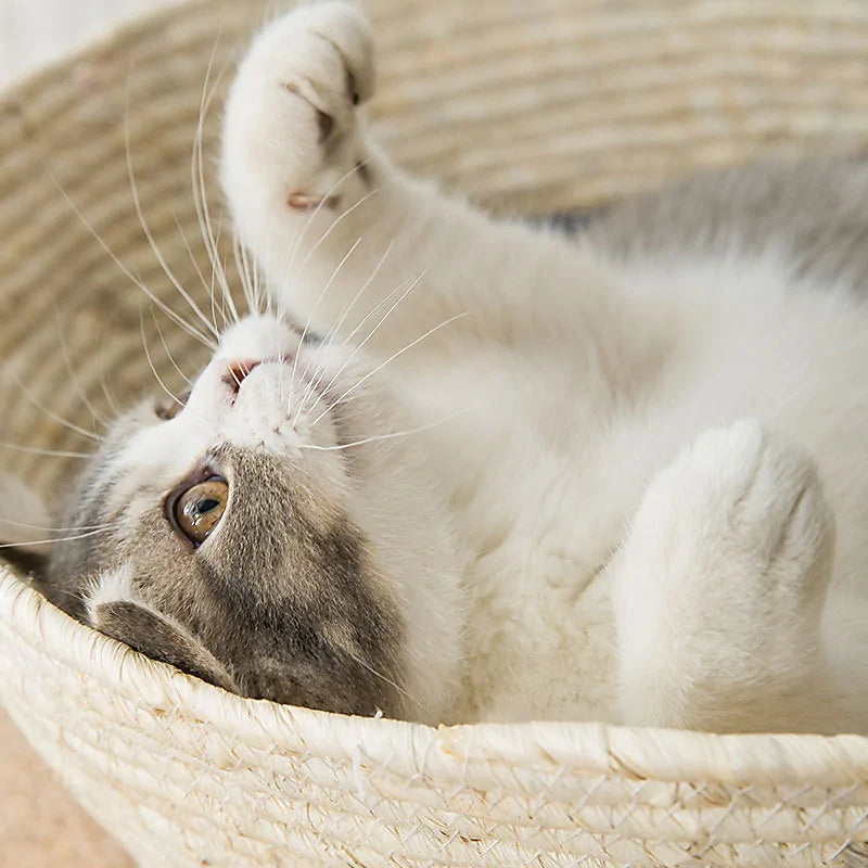 Straw Cat Bed