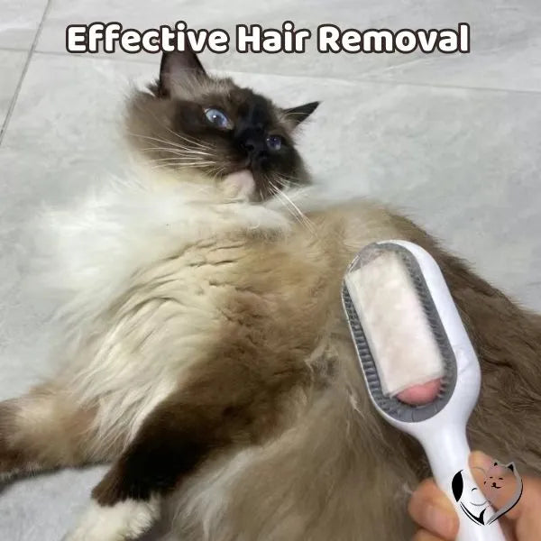 Fur-Free Zone: Pet Hair Remover Brush