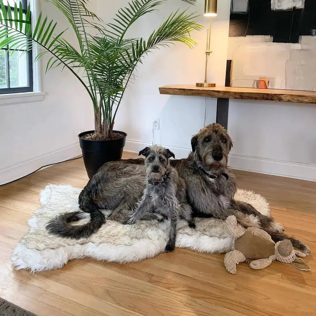 Plush Faux Fur Dog Bed