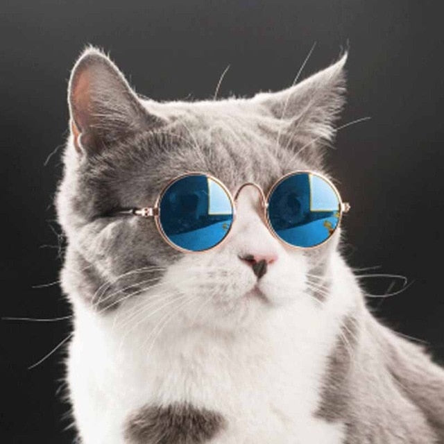 Retro Circular Cat Sunglasses