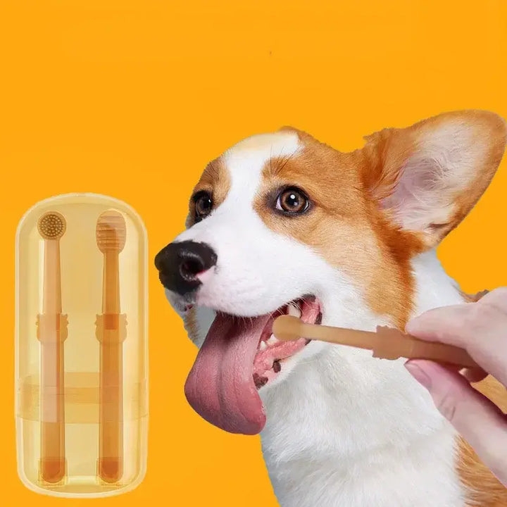 Pet Teeth Whitening Kit