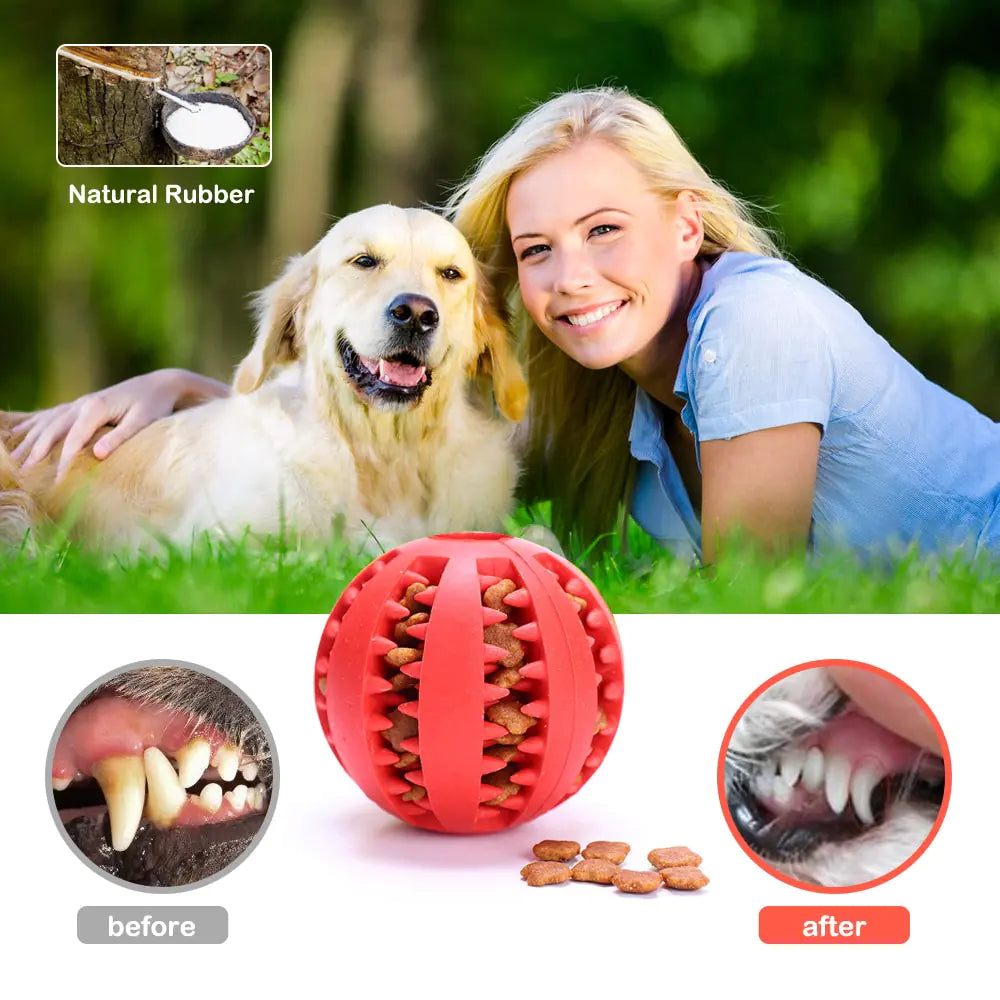 Pet Chew Toys: Rubber Ball Delights