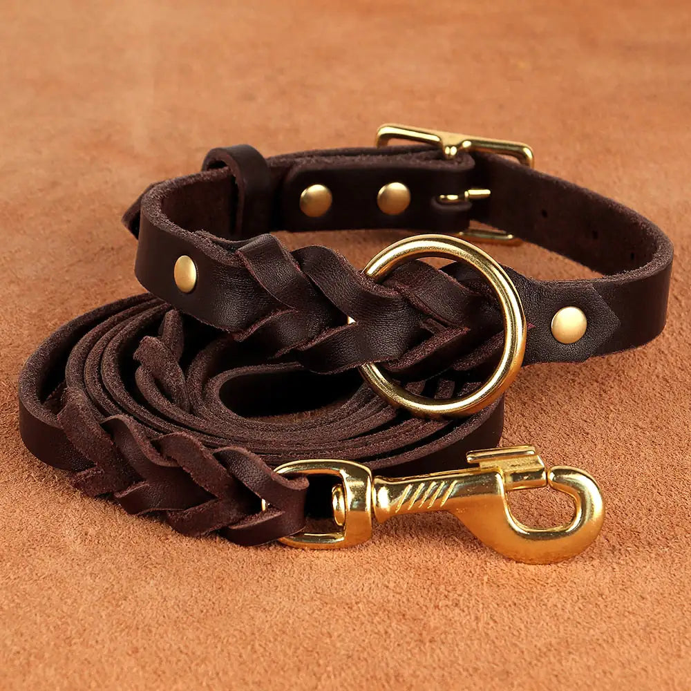 Dog Collar and Leash Combo