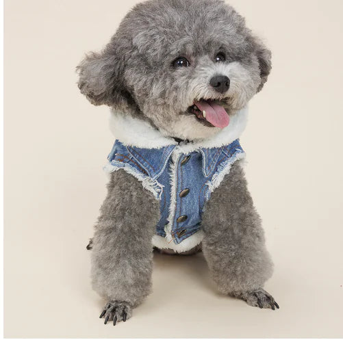 Justin's Denim Dog Jacket