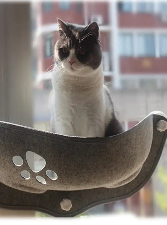 Window Hammock for Cats