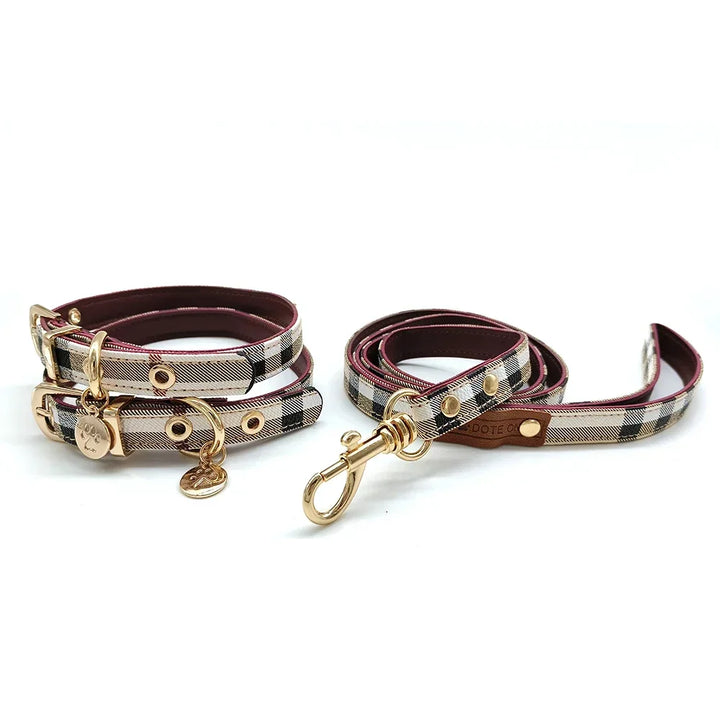 Premium Leather Pet Collar and Leash Set