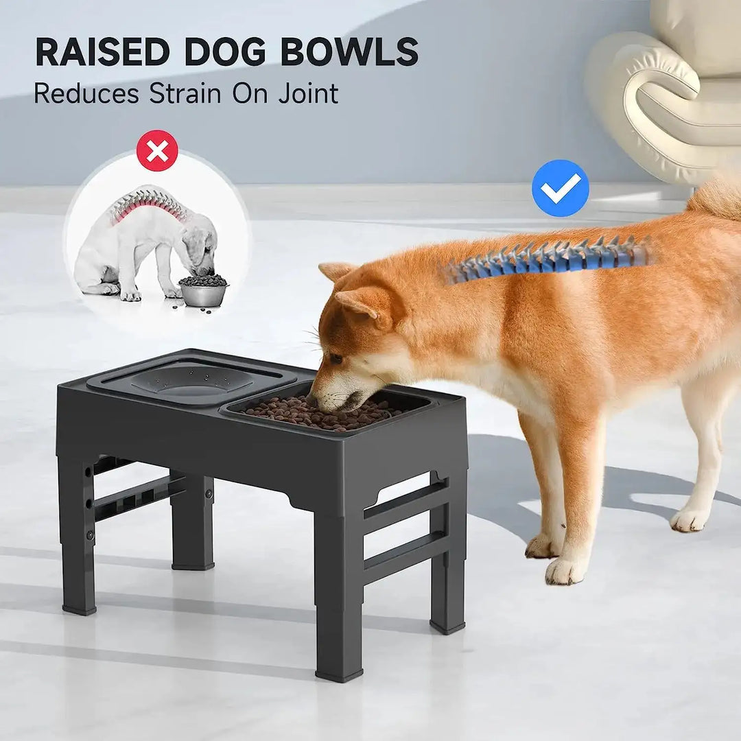 Versatile Food and Water Bowl