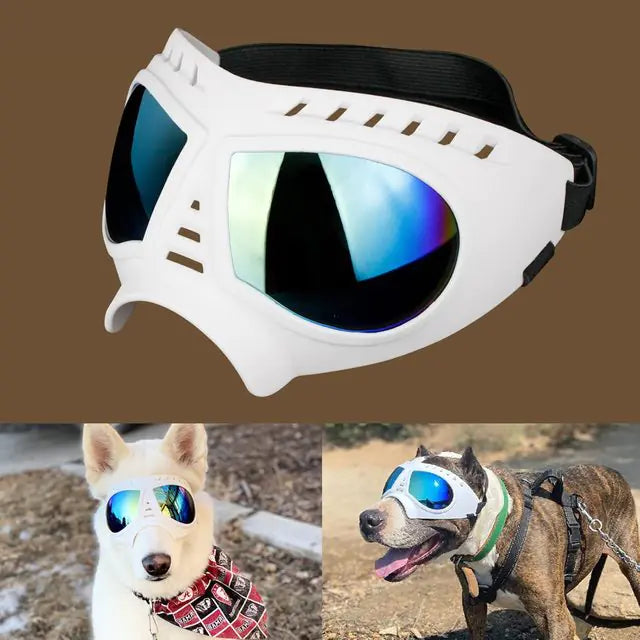 Windproof Summer Dog Sunglasses