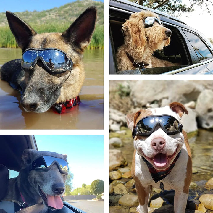 Dog Goggles with Adjustable Straps