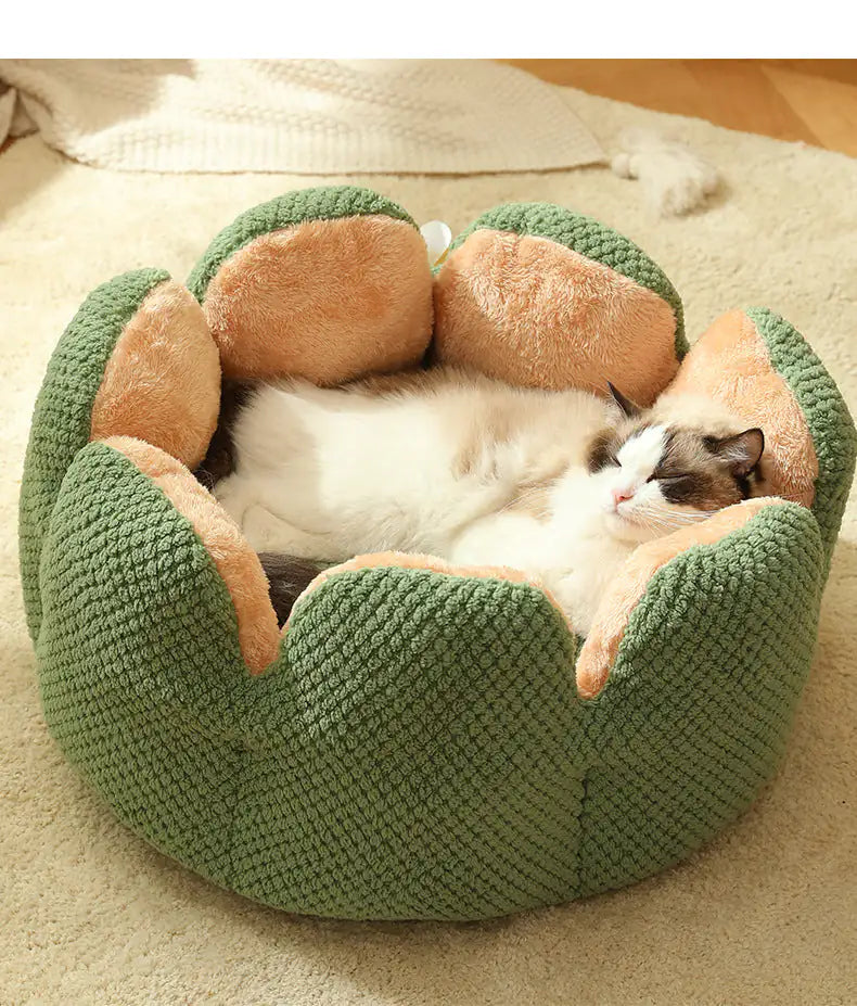 Cozy Cactus Petal Bed for Pets