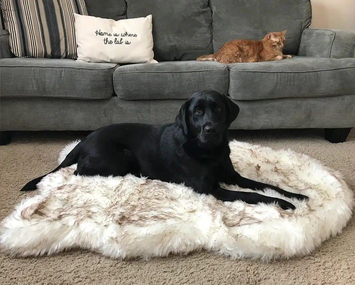 Plush Faux Fur Dog Bed