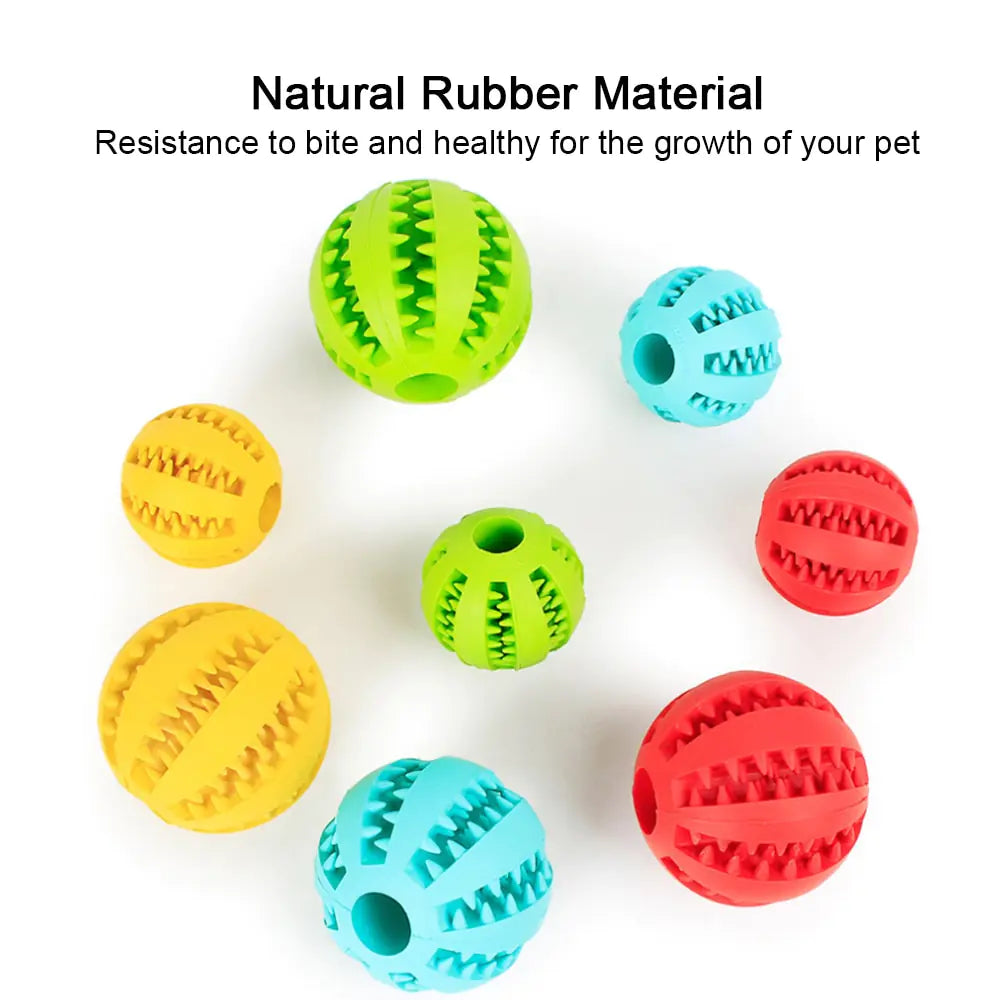 Pet Chew Toys: Rubber Ball Delights