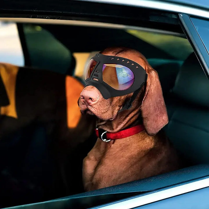 Windproof Summer Dog Sunglasses