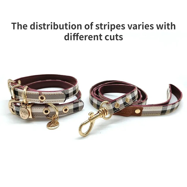 Premium Leather Pet Collar and Leash Set