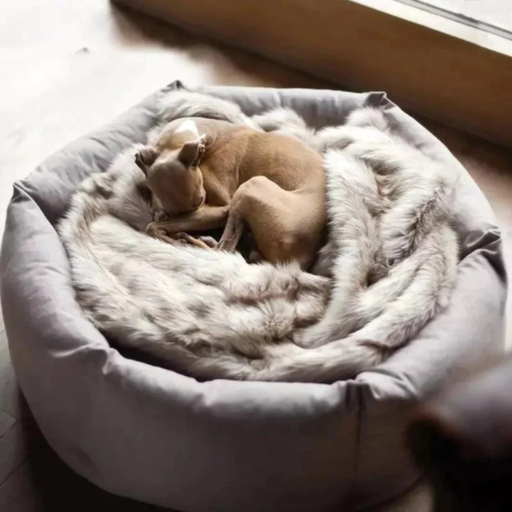 Cozy Paws Soothing Dog Bed