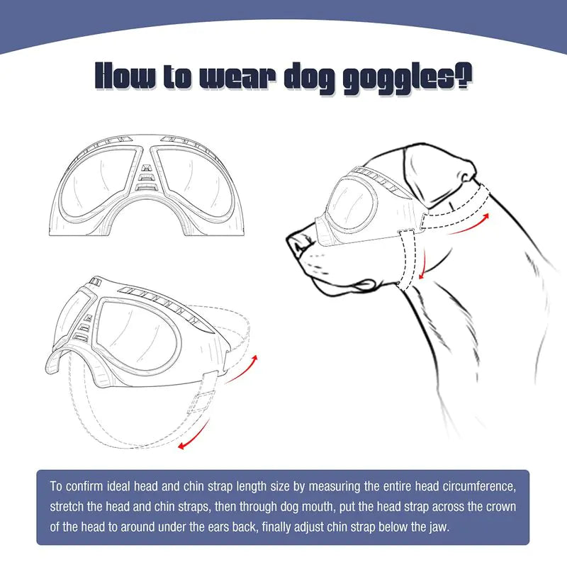 Windproof Summer Dog Sunglasses