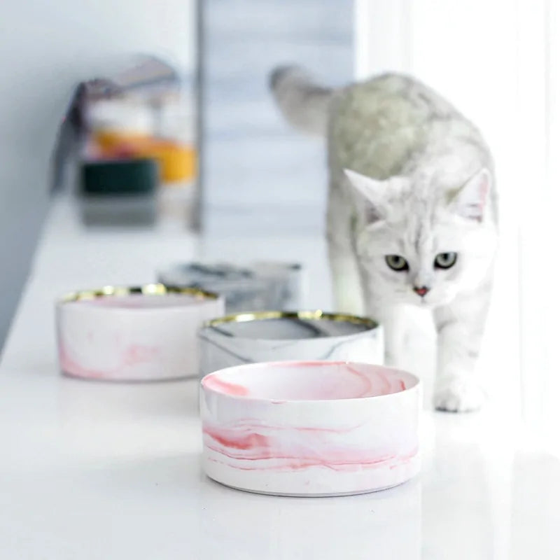 Marble-Pattern Ceramic Double Pet Bowl