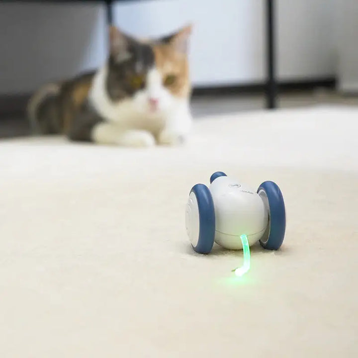 Playful Mouse: The Latest Cat Toy Craze