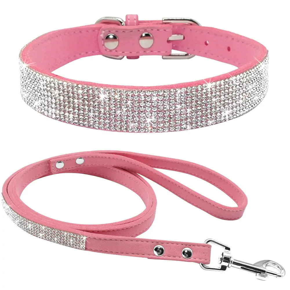 Collar Leash Ensemble for Pets