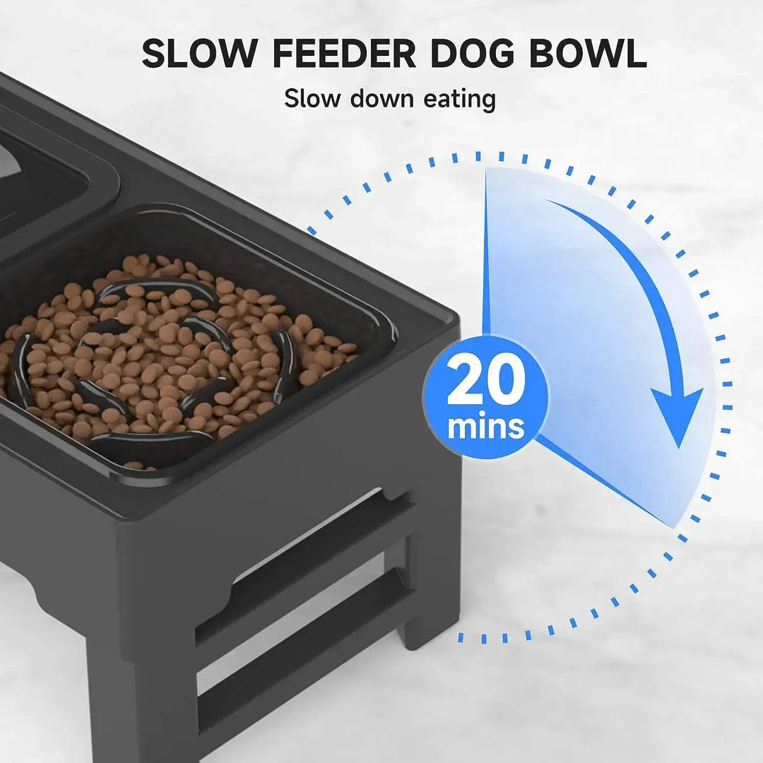 Versatile Food and Water Bowl