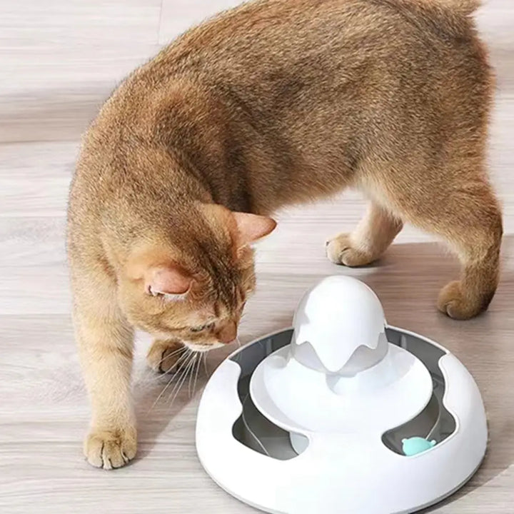 Pet Feeding Plate and Cat Toy