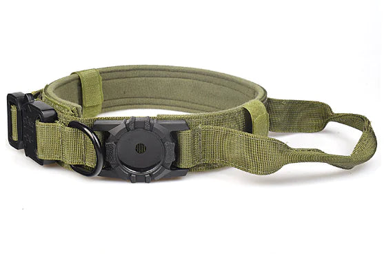 Durable Metal Buckle Dog Collar