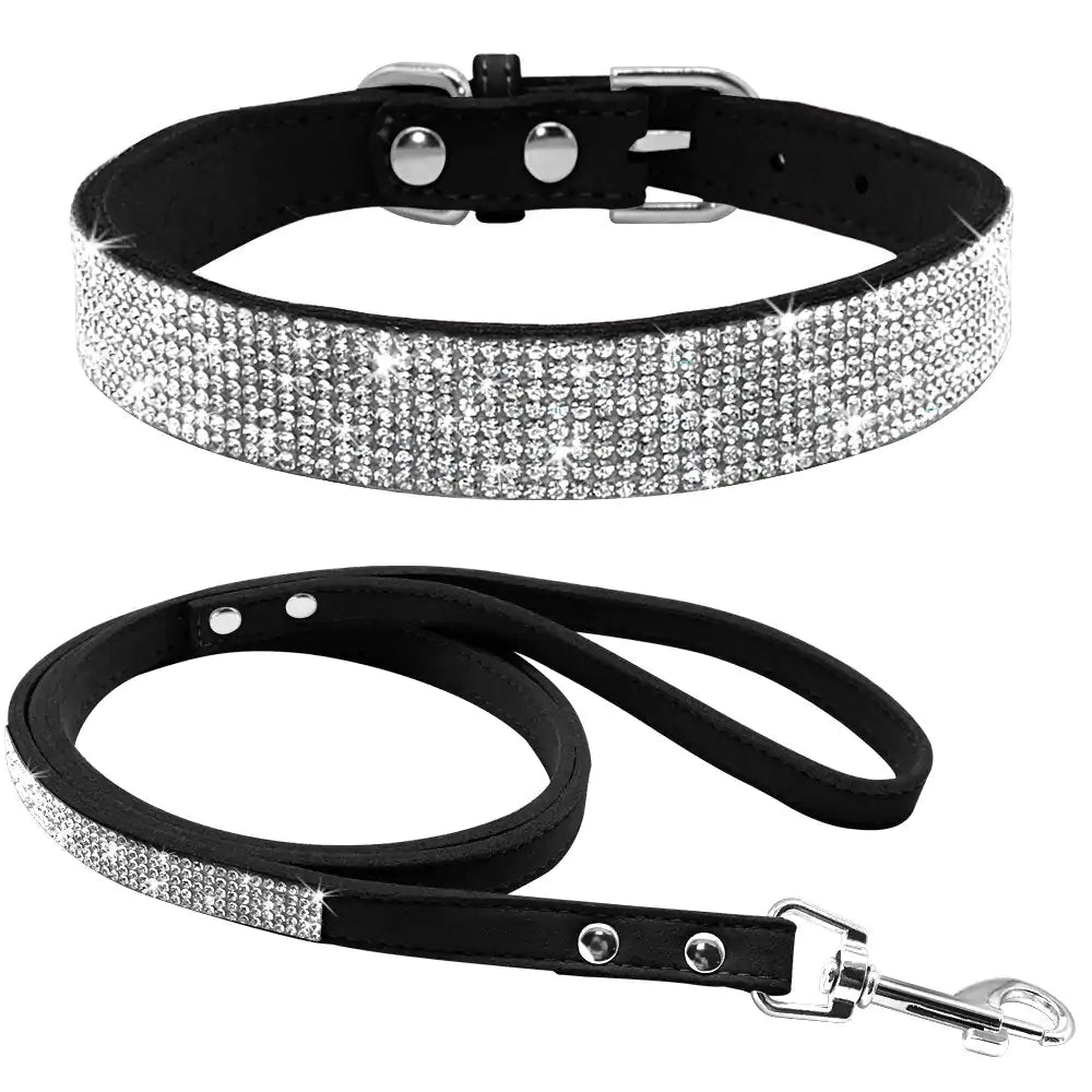 Collar Leash Ensemble for Pets