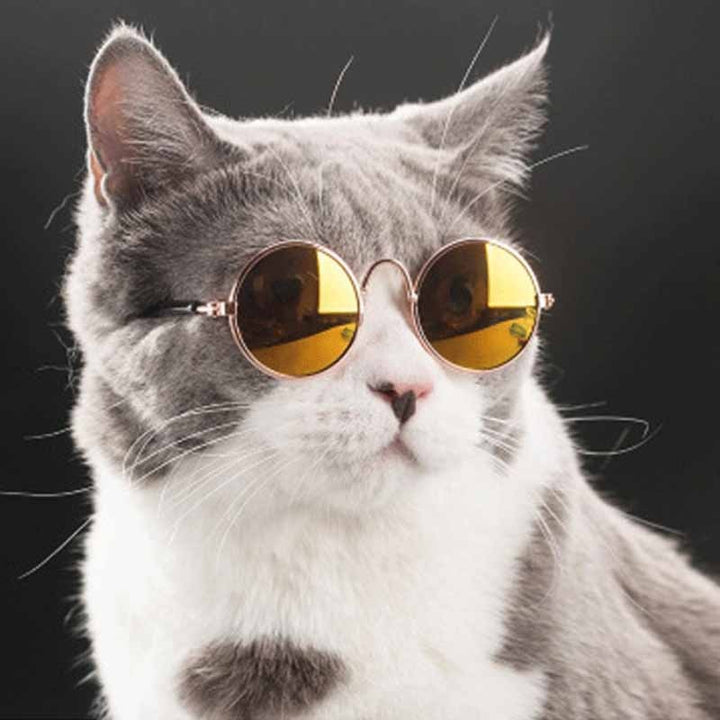 Retro Circular Cat Sunglasses