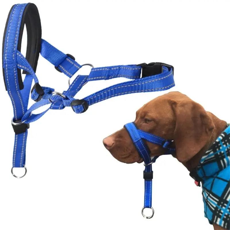 Head Collar for Dog Halter Training