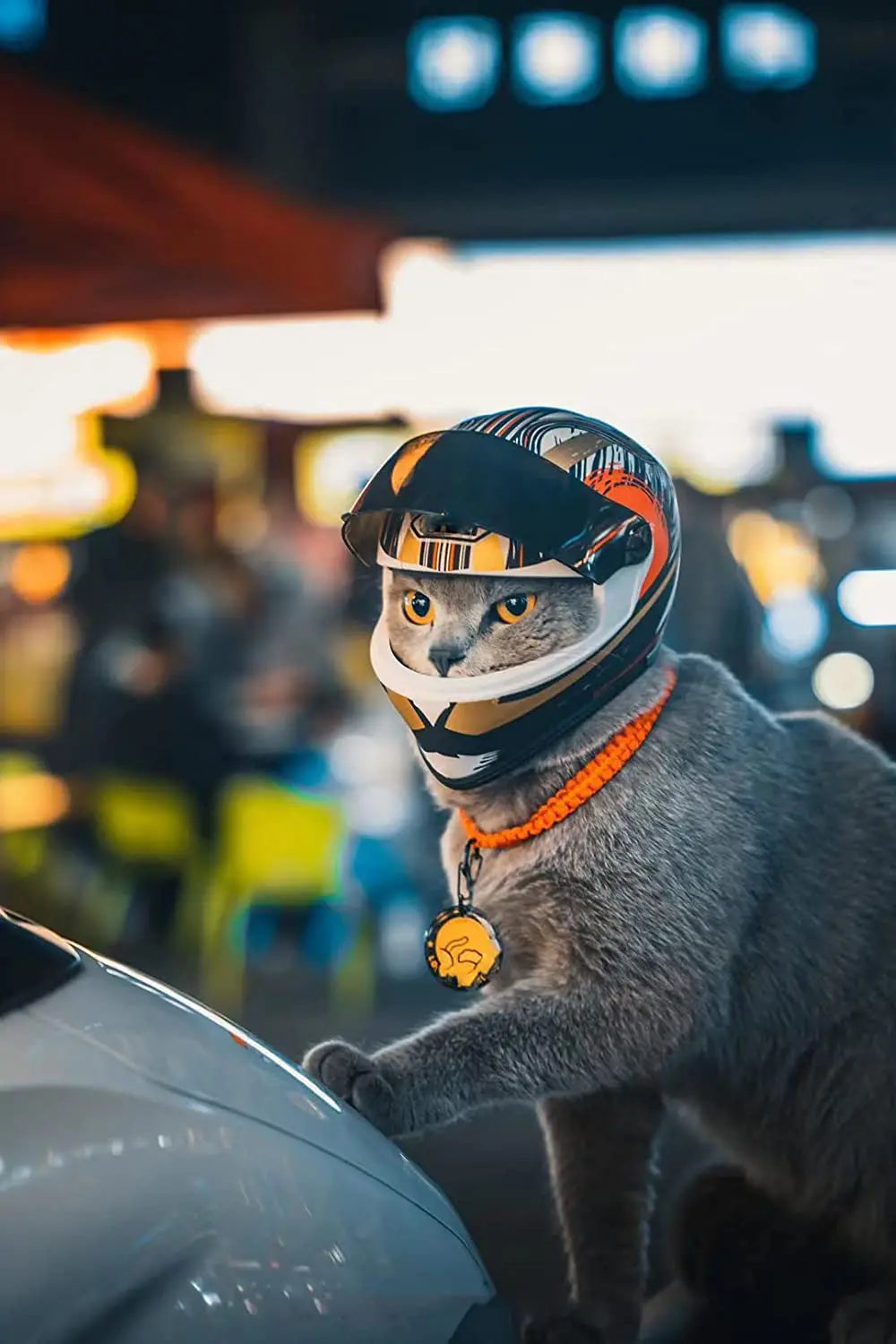 Full-Face Motorcycle Helmet for Pets