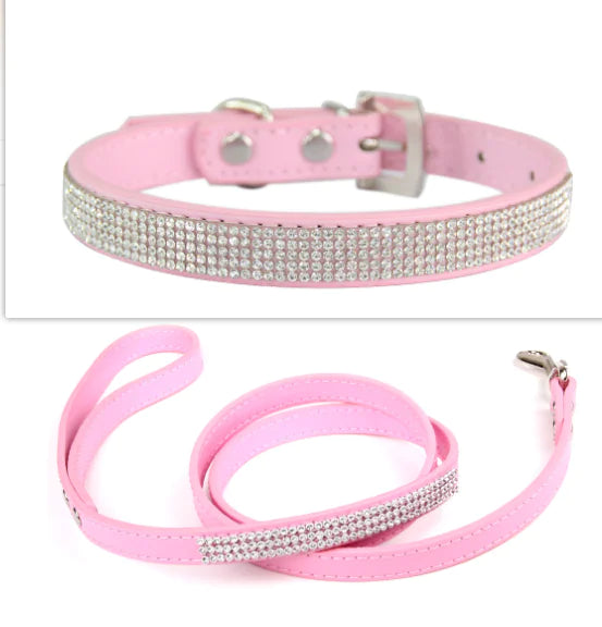 Collar Leash Ensemble for Pets