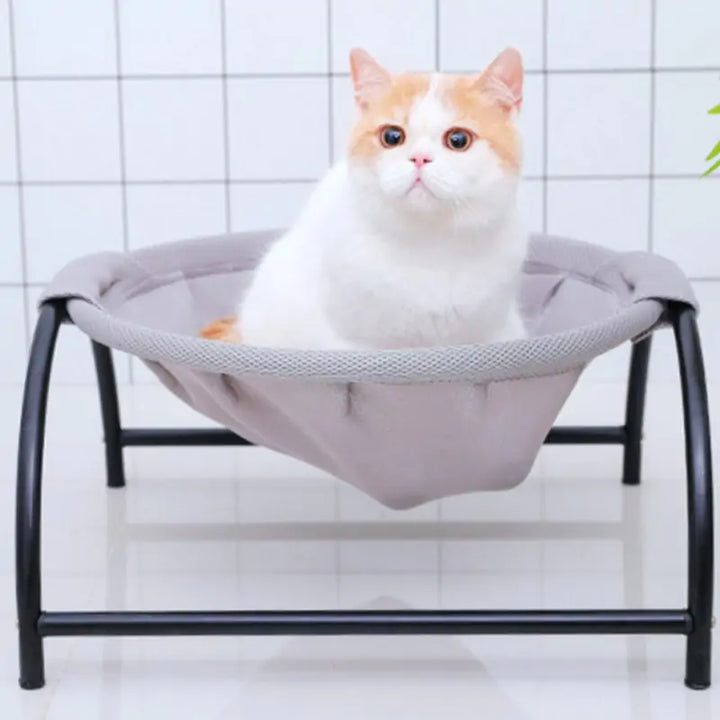 Pet Hammock with Iron Frame