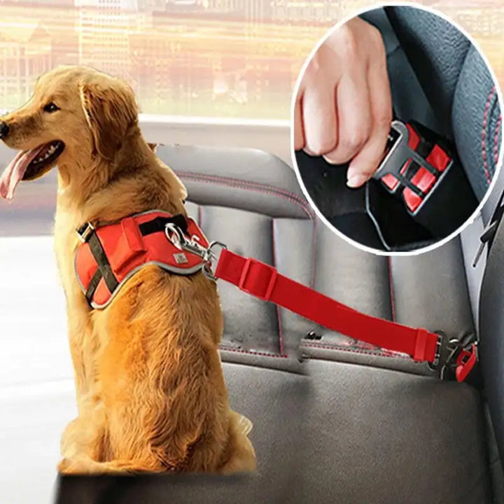 Adjustable Dog Seat Belt for Safety