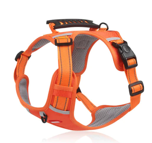 Ventilated Dog Harness