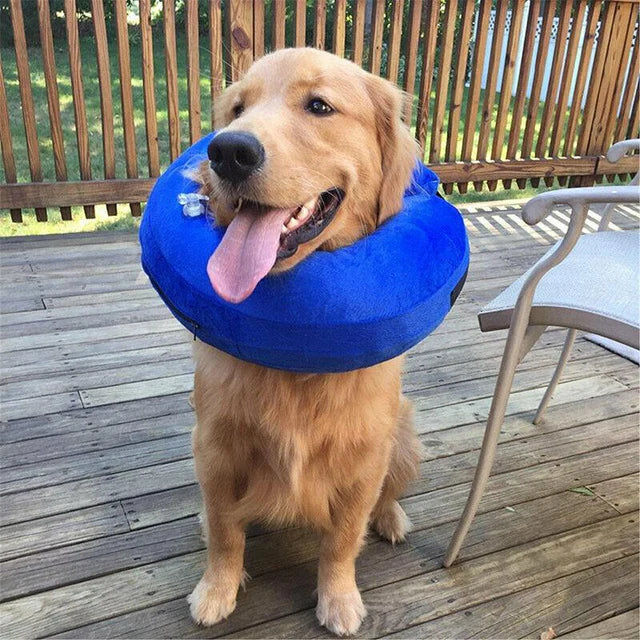 Pet Inflatable Recovery Collar