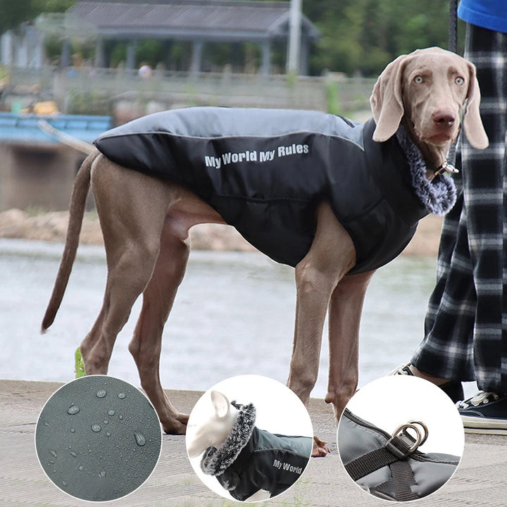 Waterproof Cotton Dog Coat