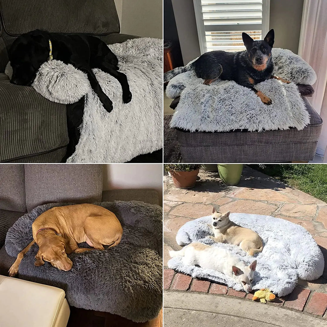 Dog Comfort Haven: Plush Bed Cushion